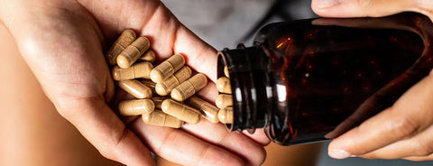 L'ashwagandha et ses bienfaits