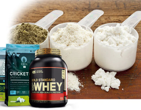 The different types of protein powder