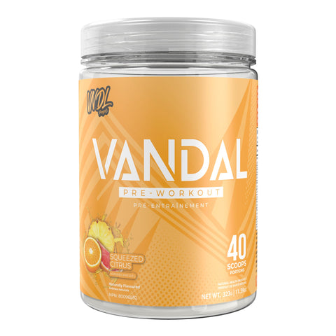 VNDL Project - Vandal Pre Workout - 335g
